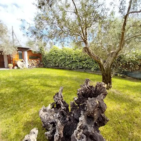 Appartement Nura's - Casa Marina