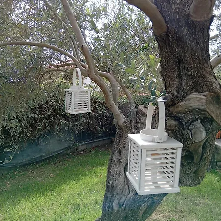 Nura's - Casa Marina *