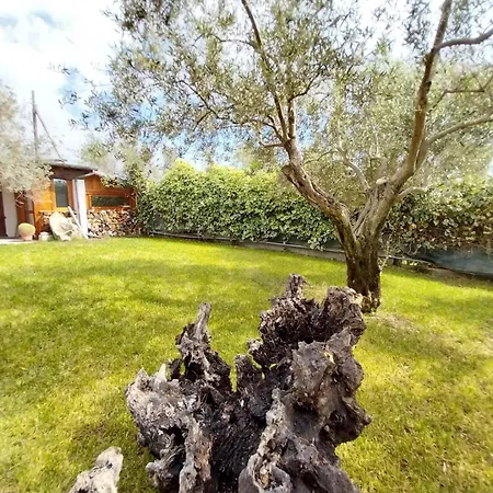 Nura's - Casa Marina *