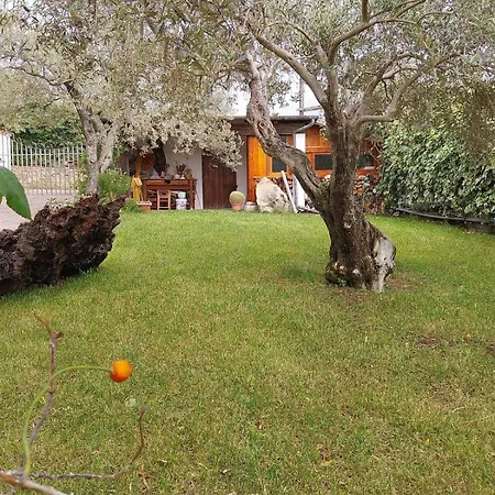 Nura's - Casa Marina